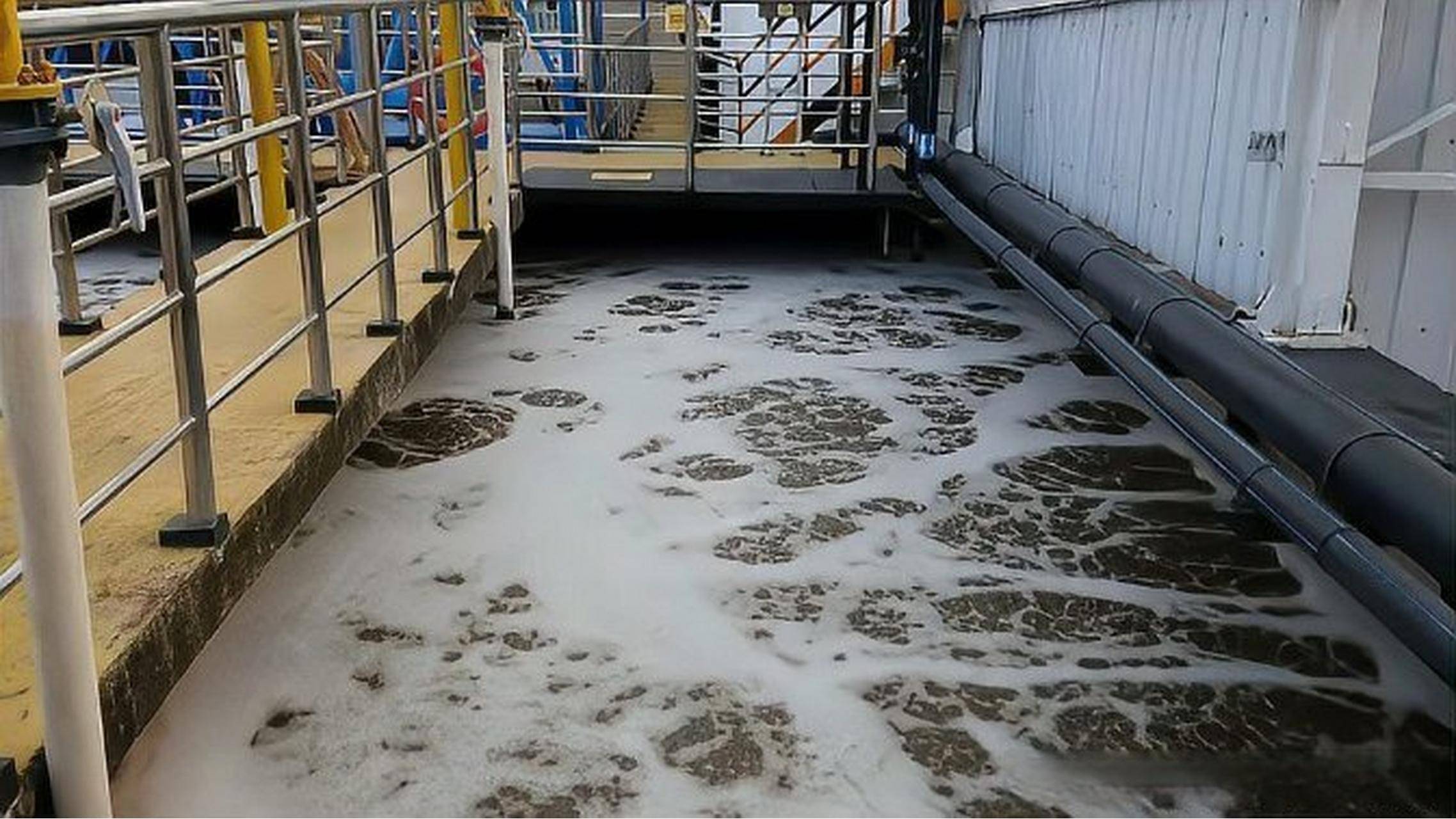 鱼类加工污水处理设备